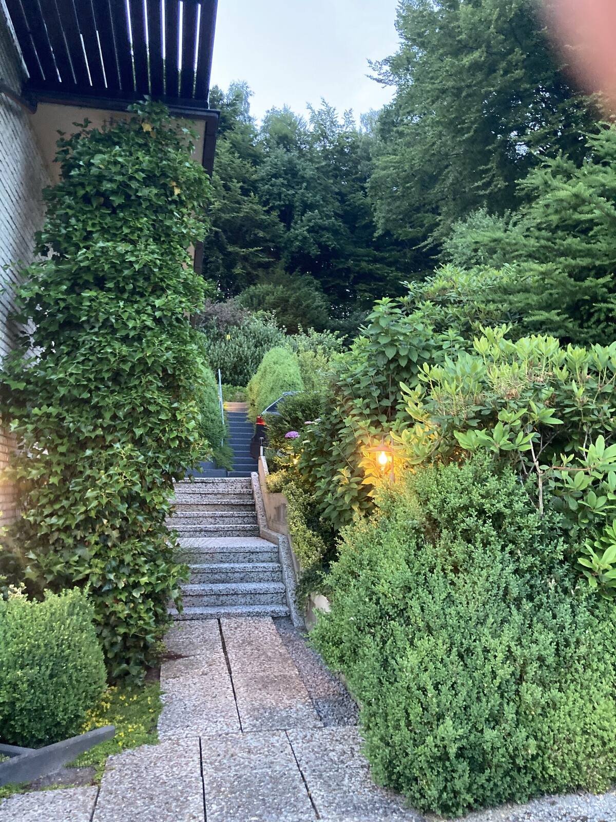 Garten & Terrasse (Mitbenutzung) – Foto 2