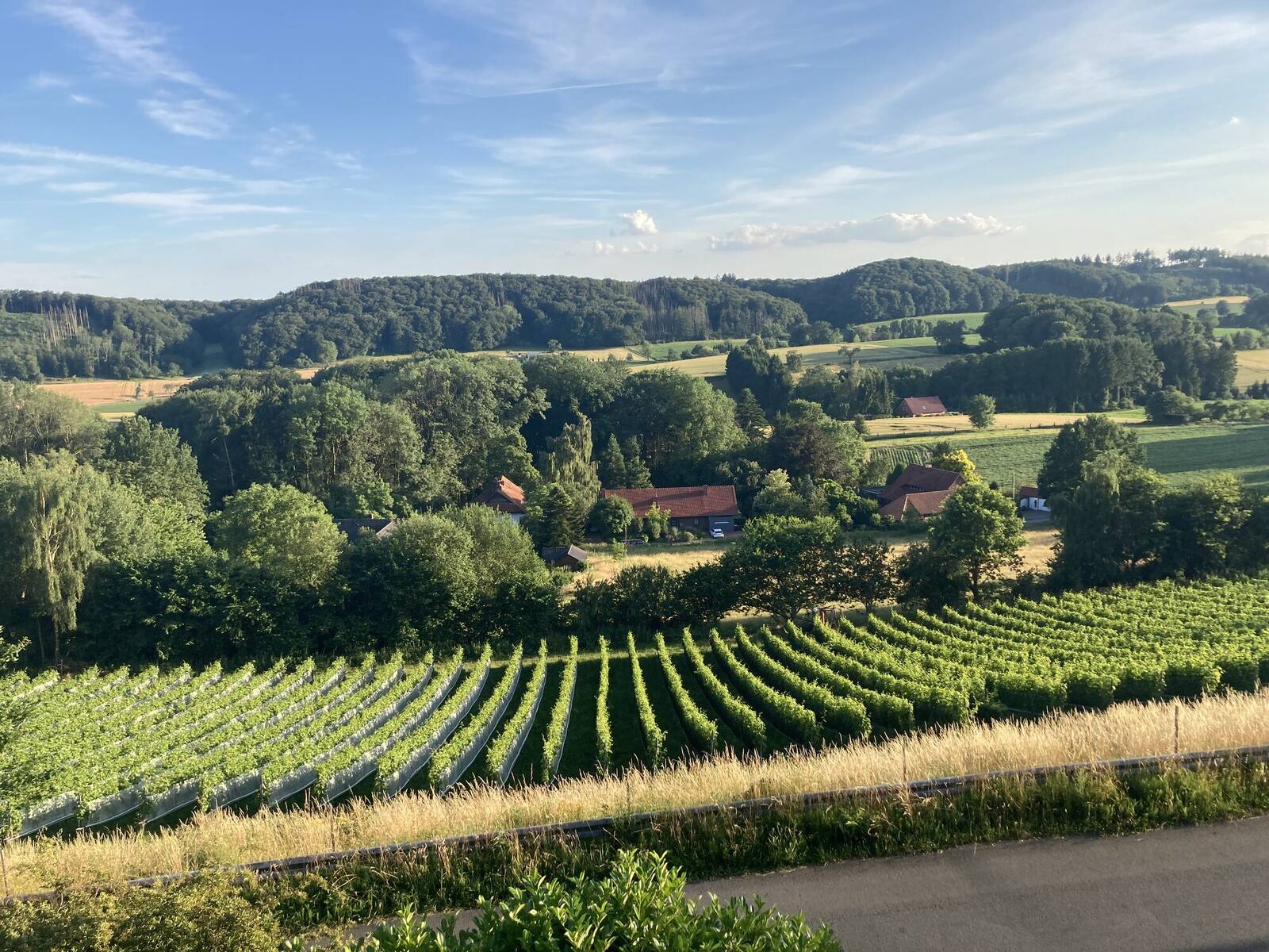 Lage & Umgebung